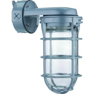 Lithonia Lighting Jelly Jar Light Fixture, Incandescent Utility Vapor Tight Wall Lamp, Industrial Style Wall Light for Indoor and Outdoor Use, 150W, 120V, Includes Junction Box, Grey (VW150I M12) (Bulb Sold Separately (120V))