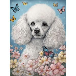 DIY Diamond Painting by Numbers White Poodle Full Drill Round Diamond Embroidery Cross Stitch Mosaic Crystal Rhinestone Arts and Craft Mosaic Art Kits 30x40cm(ku235)