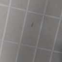 Red Lantern 6 ft. Tall Window Pane Shoji Screen-White-4 Panels Room Divider