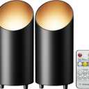 Wireless Spot Lights Indoor, Dimmable Modern Uplighter Wall Wash Lamps, Accent Light Indoor with Remote Control, 5000mAh Battery Operated Plant Uplighters Indoor with Timer, 3000K/4000K/6000K, 2 Pack [Energy Class F]