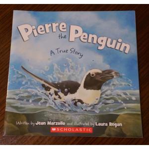 Pierre the Penguin