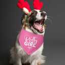Pretty Girl Dog Bandana Dog Birthday Girl Bandana Pink Funny Gender Reveal Pet Accessories for Pet Lovers Gifts Scarf for Small Medium Dogs & Cats