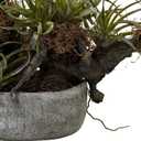 Nearly Natural Orchid & Succulent Garden with Driftwood & Decorative Vase