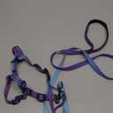 Roses&Poetry Puppy Dog Harness and Leash Set, No Pull Dog Harness Adjustable Reflective, Dog Halter Harnesses Comfort Padded Handle, Pet Harness for Training Outdoor WalkingGsky-XS (Violet)