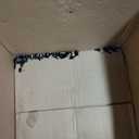 VASAGLE EKHO Collection - Dining Chairs Set of 2, Upholstered Kitchen Chairs, Comfortable Seat, Synthetic Leather with Stitching, Mid-Century Modern, Easy Assembly, with Storage Pocket, Cream White