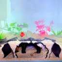 Aquarium Hidden caveSmall Bottom-Dwelling Fish&Shrimp Safe Hiding HoleUnderground Double-Hole Hiding Tunnel3D Printed Fish Tank Decoration Accessories (Large Size) (Black)