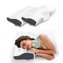Derila Memory Foam Pillows (1Pillows, Standard (19.7" x 11.8" x 3.9"))