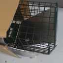HOMESTEAD Heavy Duty Live Trap - Professional Style One-Door Live Animal Traps for Rabbit, Squirrel, Possum, Skunk, Kitten, Mink