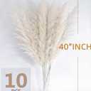 46" inch 10 Stems Cream Pampas Grass Decor Tall, Dry Flowers for Floor Vases Decor, Natural Dried Flowers for Wedding, Natural Home Decor, Wall Grass, Glam Decor