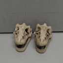 Opexicos 2Pcs 8.5 x 5.5 x 4.5 cm Resin Dinosaur Skull Aquarium Decoration Terrarium Reptile Fish Tank Ornament