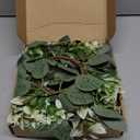 4 Pcs Eucalyptus Candle Ring 4 Inch Center Mini Kitchen Cabinet Wreaths Artificial Small Green Leaves Wreaths Garland Pillar Holder for Home Door Window Farmhouse Wedding Party Table Centerpiece Decor