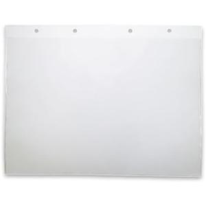 Lighthouse - Refill Pages for Currency Album for Graded Banknotes and Currency Sleeves - Set of 10 (4 1/4" x 7 7/8")