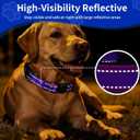 AirTag Dog Collar, IP68 Waterproof Air Tag Dog Collar Holder, Reflective, Ultra-Durable, Comfortable Padded, Heavy Duty Dog Collars for Small Medium Large Dogs-Pueple-M (Purple)