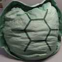 Wearable Turtle Shell Pillows,51in Tortoise Plush Pillow,Giant Wearable Turtle Shell Pillow ,Removable Oversized Doll Throw Animal Costume Wearable Plush Toys Best Gifts for Kids and Adult (47.2in)
