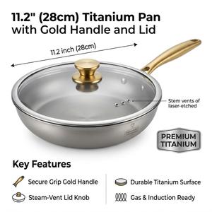 Premium 11.2" (28cm) Wok Pan with Glass Lid - Induction & Gas Ready, Brushed Stainless Steel, Gold Handle & Steam Vent
