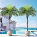 6ft Tall Artificial Phoenix Palm Tree for Outdoor Indoor Decor, Large Faux Coconut Silk Palm Tree Tropical Fake Tree Perfect for Outside Patio Poolside Home Office Decor (Set of 2)