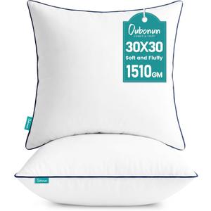 Oubonun 30 x 30 Throw Pillow Inserts Set of 2