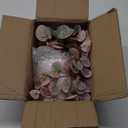 Briful Faux Hanging Plants Indoor 17'' Artificial String of Heart Plants with Semicircle Wall Mount Planter Faux Draping Vine Plants for Home Office Bathroom Hanging Decor (Green White)