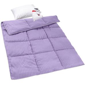 ZPECC Toddler Down Alternative Comforter, 39x47 Hypoallergenic Baby Blanket Quilt, Soft Breathable Lightweight All Season Kids Duvet Insert for Crib Stroller Cot Daycare, Purple Stripe (1 Count (Pack of 1))