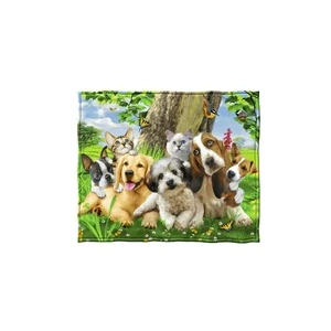 Dawhud Direct Fleece Throw Blanket By Howard Robinson Puppy And Kitten Pals 50x60 in