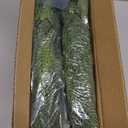 6 FT Christmas Garland Real Touch Norfolk Pine Garland Realistic, Christmas Faux Cedar Garland with Lights for Mantle Table Front Door Indoor Outdoor Holiday Christmas Decor