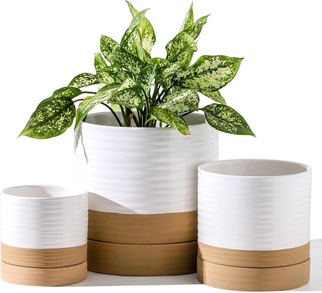 4/6/8 Inch Ceramic Planter Pot with Drainage Hole and Saucer, Pack of 3 Round Flower Plant Pot for Indoor Outdoor, Porcelain Garden Pots for Farmhouse Decorative with Deep Reservoir, White