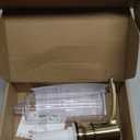 Soap Dispenser for Kitchen Sink, Built in Sink Soap Dispenser Gold ABS Pump Head with 11 Ounce Soap Bottle Champagne Gold