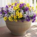 Rowfad 18 Pcs Artificial Fake Pansy Flowers for Outdoor, Faux Silk Pansies Spring Flowers for Outside for Planter Front Door Porch Yard Patio Window Box Home Decor (18, Purple, Yellow, White)