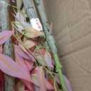 Tall Faux Plastic Silk Plants Large Artificial Bamboo Tree Indoor Outdoor Realistic Floor Plant Potted Fake Nandina Trees for Home Living Room Office Front Porch Patio decoracion Housewarming Gift