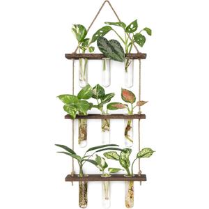Mkono Plant Propagation Tubes, 3 Tiered Wall Hanging Terrarium with Wooden Stand Flower Vase Test Tube Glass Planter Stations for Hydroponic Cutting Home Garden Office Decor (Brown, Small)