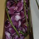 35 Inch Artificial Butterfly Orchid Flowers 4 Pcs Soft Touch Orchid Fake Phalaenopsis Flowers Stem Plants for Wedding Home Decoration (Deep Purple 4pcs)