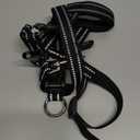 BARKLESS Soft Dog Head Collar, Patented Padded No Pull Head Halter, Training Nose Leash with Safety Link for Medium Large Dogs, Adjustable Muzzle Leash, Easy Control for Walking(Black, L) 