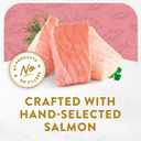 2 x Purina Fancy Feast Appetizers Lickable Grain Free Wet Cat Food Topper Wild Alaskan Salmon Appetizer - (Pack of 10) 1.1 oz. Trays (EXP 01/01/28)