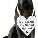 Pulse Brands Engagement Photo Prop Sign - My Humans are Getting Married - Engagement Gifts - Bride to Be - Engaged - Engagement Gifts for Couples (White) Pack of 2