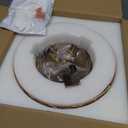 Lamomo Semi Flush Mount Ceiling Light, Upgraded Larger Hallway Light Fixture, 3-Bulb Globe Glass Close to Ceiling Scone, Amber Indoor Hanging Light for Bedroom Kitchen Porch Hallway,Bulbs Not Included (12.2'')