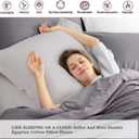 Crown Collection Silver Solid Free Size Pillow Shams Set of 2 - Hypoallergenic 500-TC 100% Egyptian Cotton Decorative Tailored Poplin Pillow Cover (Silver, Emperor/Oversize 20'' x 40'') (King / Cal-king 20x40")