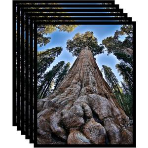 11x14 Picture Frame Black Photo Frames Display for Wall and Tabletop, Set of 6