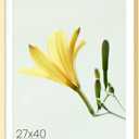 27x40 Matel Picture Frames, Large 27x40 Poster Frames for Wall, Versatile Wall Display Frames with Mat for 24x36 Photos for Home, Room, Office, Attached Hanging Hardware - 1Pack, Gold (Gold-1P)