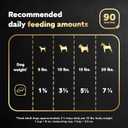 Cesar Wet Dog Food Classic Loaf in Sauce Filet Mignon Flavor, 3.5 oz. Easy Peel Trays (24 Count, Pack of 1)