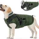 Queenmore Winter Dog Jackets for Extra Large Dogs with Harness Built-in, Waterproof Puffer Coat for Large Breed, Pet Snow Jacket for Winter/Cold Weather - Fleece Easy On Reflective, Green XL