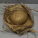 Beach Straw Hat Hawaiian Luau Hat Straw for Hawaii Funny Straw Mens Luau Gorros Straw Lei Festival Beach s for Women Straw Sun Boy Hawaiian Straw