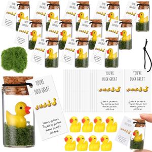20 Sets Employee Appreciation Gifts Bulk Team Building Support Thank You Gifts with Inspirational Cards for Christmas Employee Coworker Staff Class Students Teacher (Duck)