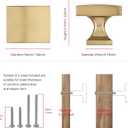TUNNY 10 Pack Cabinet Knobs-Champagne Bronze Single Hole Drawer Handles Kitchen Cabinet Handles Drawer Pulls Kitchen Cabinet Hardware Bedroom Cabinet Pulls