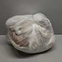 MaoGoLan Giant Horse Stuffed Animal, Large Horse Stuff Plush Toy for Girl Kid Boy, Realistic Stuffed Pony Plush Pillow Gifts for Birthday Party Favor Christmas Decor, 47 inches, Brown