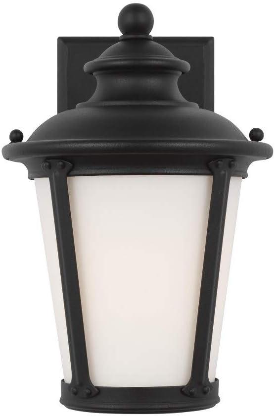Generation Lighting 88240-12 Small One Light Outdoor Wall Lantern