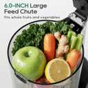Canoly 3-in-1 Cold Press Juicer C16, Makes Juice & Sorbet & Nut Milk