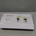 Grow Lights for Indoor Plants Full Spectrum,15-62 Inches Height Adjustable Dsektop and Standing Plant Growing Lamps with Detachable Tripod Stand, Auto On/Off Timer (Full Spectrum, Four Heads)