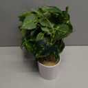 Waipfaru Fake Plants Artificial Plants Indoor, 1Pcs 34" Realistic Artificial Hanging Fake Pothos Vines Ivy Potted, Faux Pothos for Living Room Office Bedroom Bathroom Kitchen Shelves Indoor Home Decor