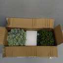 Winlyn Set of 3 Assorted Artificial Succulent Plants in White Concrete Pots Faux Aloe Hops String of Pearls Potted Plants Small Fake Plants for Home Garden Office Desk Counter Shelf Windowsill Decor