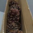 25 Pcs Large Natural Pine Cones for Crafts, 3" to 4" Tall Pine Cones Craft for Christmas, Table, Home Decor, Vase Fillers, Desk & Christmas Trees, Unscented Pinecones Crafts Ornament for Decorating
